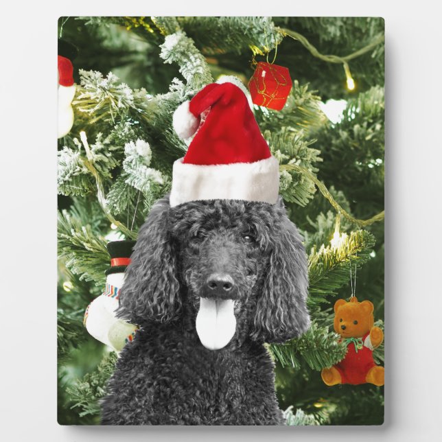 Poodle Dog Christmas Tree Snowman Red Santa Hat Plaque (Front)