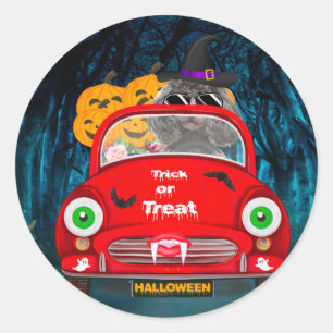 Poodle Dog Driving Car Scary Halloween Classic Round Sticker