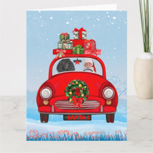 Poodle Dog In Car With Santa Claus  Card