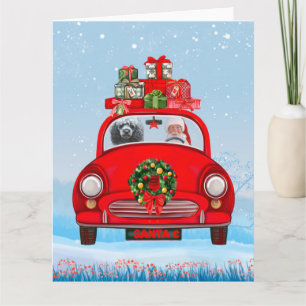 Poodle Dog In Car With Santa Claus Card