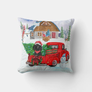 Poodle Dog In Christmas Delivery Truck Snow Cushion