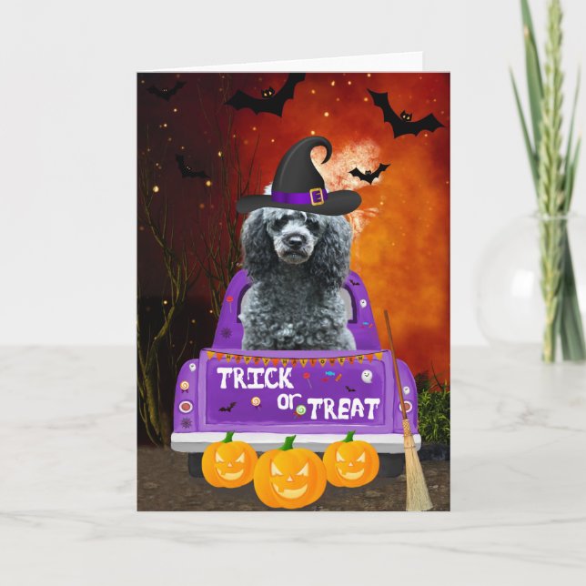 Poodle Dog in Halloween Truck  Card (Front)
