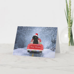 Poodle Dog in Snow sitting in Christmas Truck Card