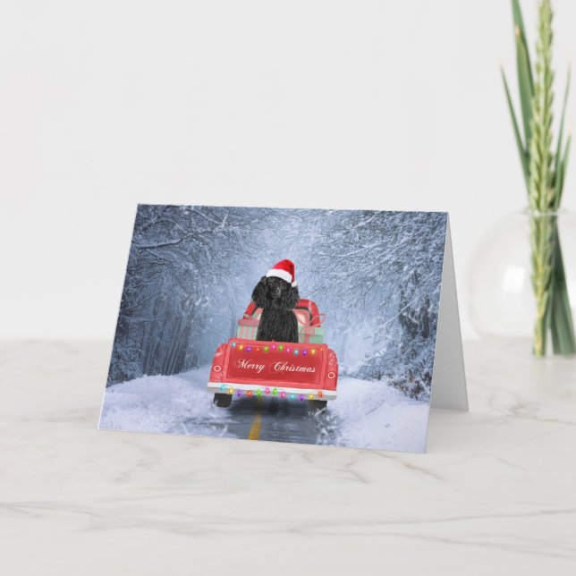 Poodle Dog in Snow sitting in Christmas Truck Card (Front)