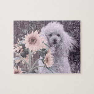 Poodle dog jigsaw puzzle