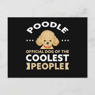 Poodle Dog Of The Coolest   Dog Owner Poodles Postcard