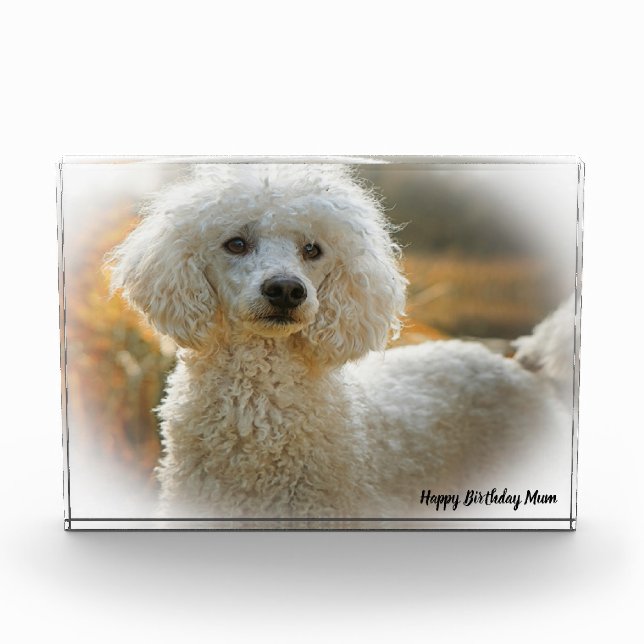 Poodle Dog Photo Block (Front)