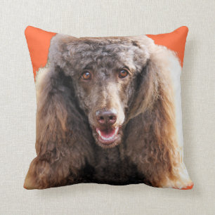 Poodle Dog Portrait Cushion