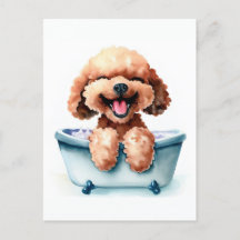 Poodle Dog