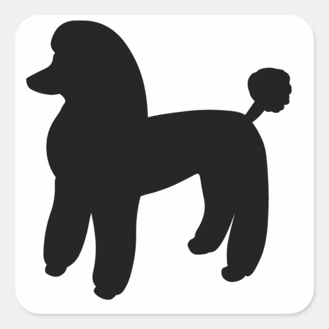 Poodle Dog Square Sticker (Front)