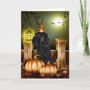 Poodle Dog with Witch Hat Halloween Card