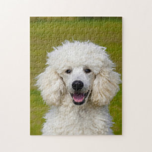 Poodle Dogs. Jigsaw Puzzle