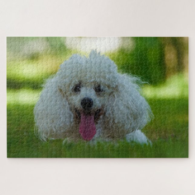Poodle Dogs. Jigsaw Puzzle (Horizontal)