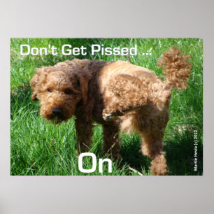 Poodle - Don't Get Pissed - Poster