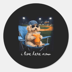 Poodle drink iced coffee baseball field live here classic round sticker