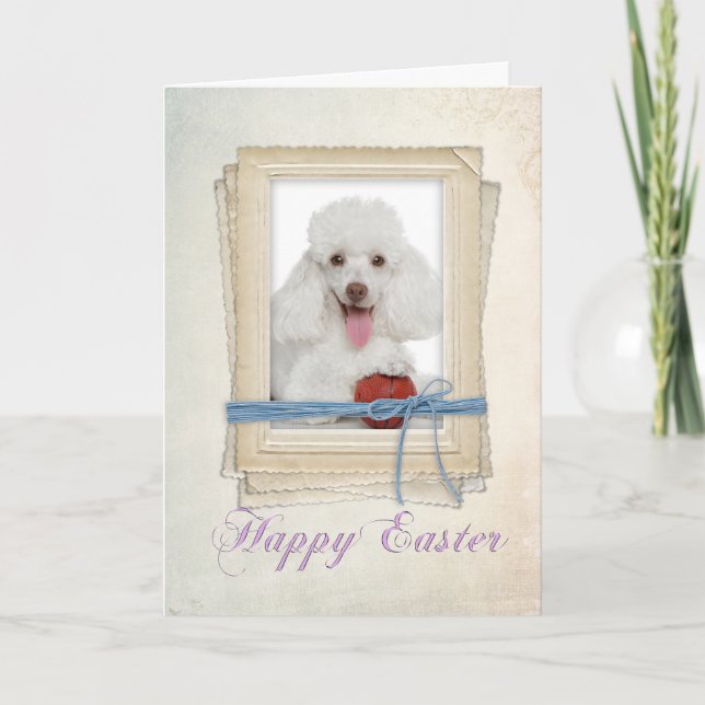 Poodle Easter Card (Front)