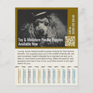 Poodle Flyer