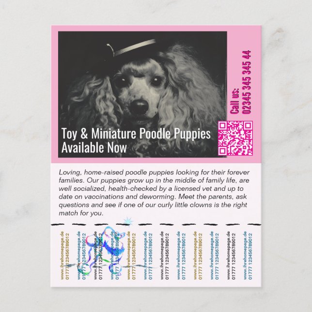 Poodle Flyer (Front)
