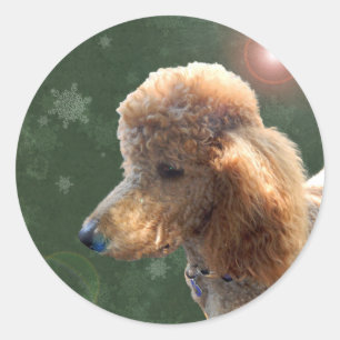 POODLE FOR THE HOLIDAYS CLASSIC ROUND STICKER