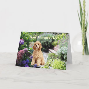 Poodle Garden Greeting Card