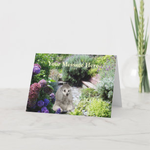 Poodle Garden Greeting Card