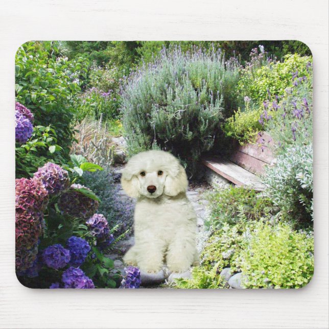 Poodle Garden Mousepad (Front)