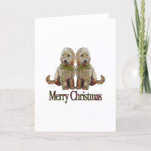 Poodle, Golden Doodle Couple Christmas: Art Holiday Card