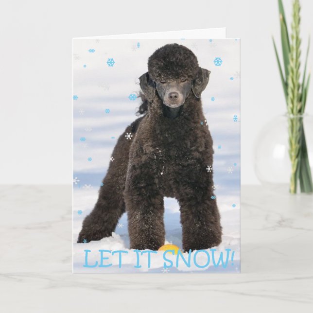Poodle in the Snow Holiday Card (Front)