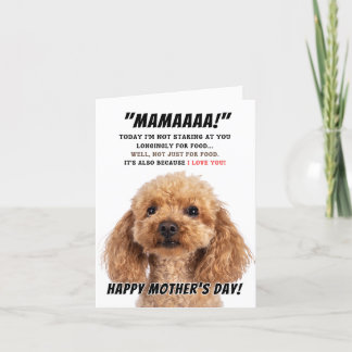 Poodle love for mother's day thank you card