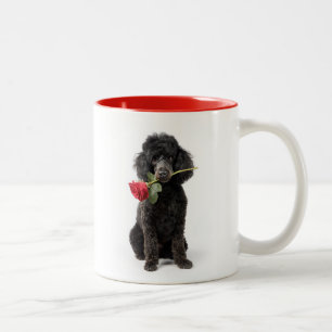 Poodle Love Two-Tone Coffee Mug
