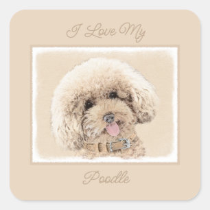 Poodle Miniature Toy Apricot Cream Brown Dog Art S Square Sticker
