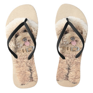 Poodle Miniature Toy Apricot Cream Brown Dog Art Thongs