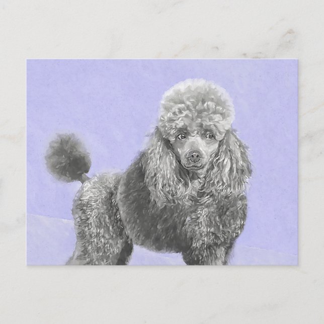 Poodle Miniature Toy Silver Grey Blue Dog Art Postcard (Front)