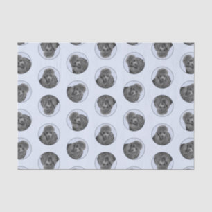 Poodle Painting Miniature Toy Black Pet Dog Art Tissue Paper