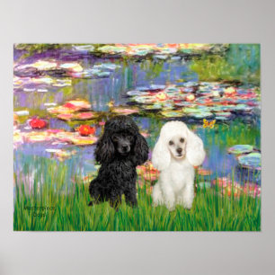 Poodle Pair (Black + White) - Lilies 2 Poster
