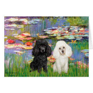 Poodle Pair (BW) - Lilies 2