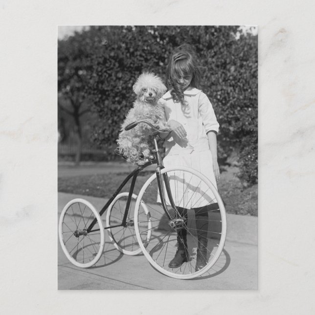 Poodle Perch, 1913 Postcard (Front)