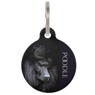 Poodle Pet Tag