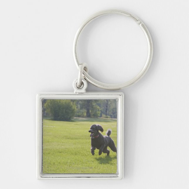 Poodle playing frisbee key ring (Front)