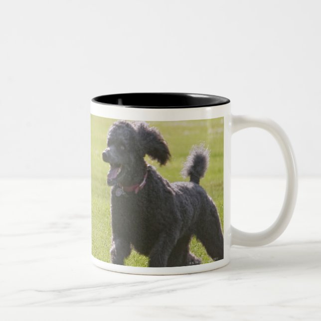 Poodle playing frisbee Two-Tone coffee mug (Right)