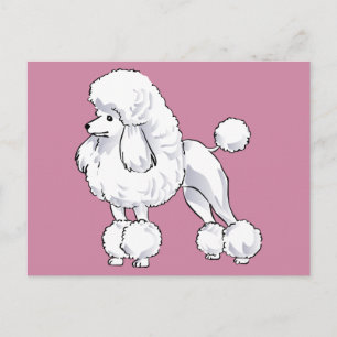 Poodle Postcard