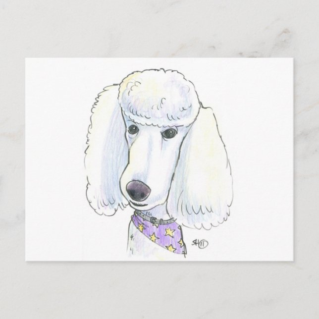 poodle postcard (Front)