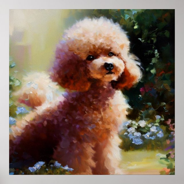 Poodle  poster (Front)