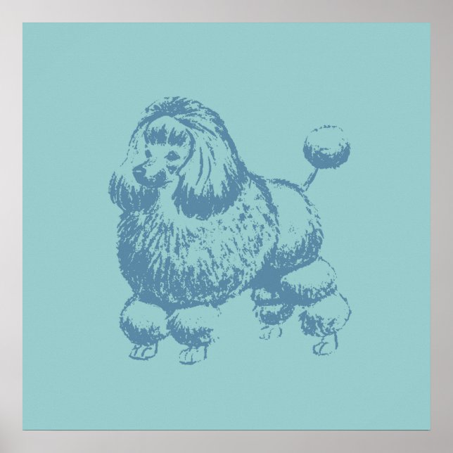 Poodle Poster (Front)