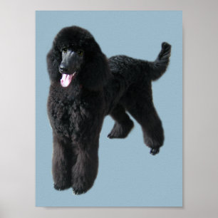 Poodle Print