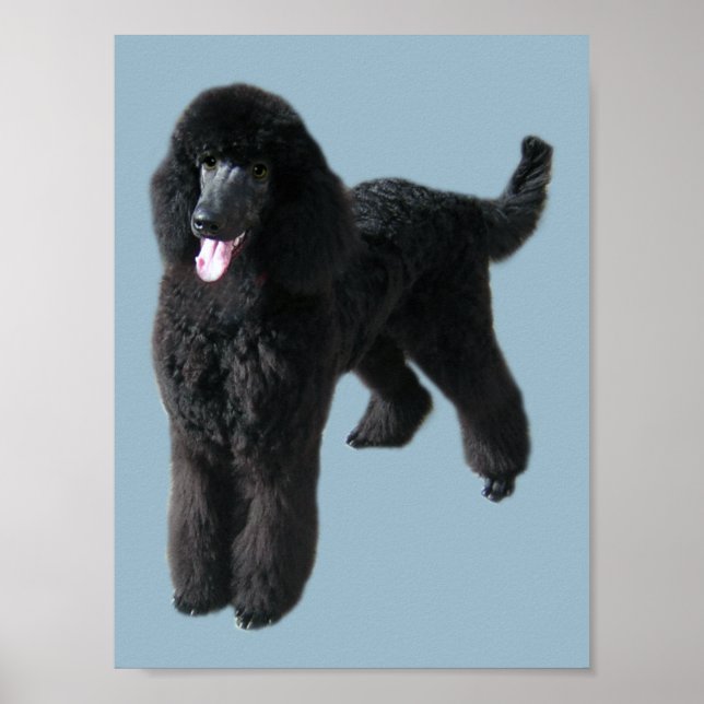 Poodle Print (Front)