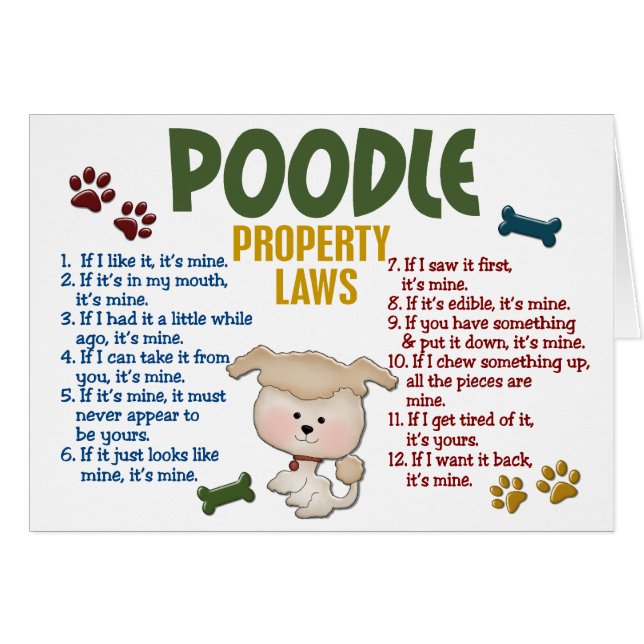 Poodle Property Laws 4 (Front Horizontal)