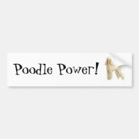 Poodle -- Puppy Clip