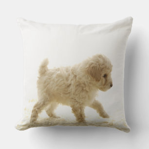 Poodle Puppy Cushion