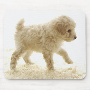 Poodle Puppy Mouse Pad